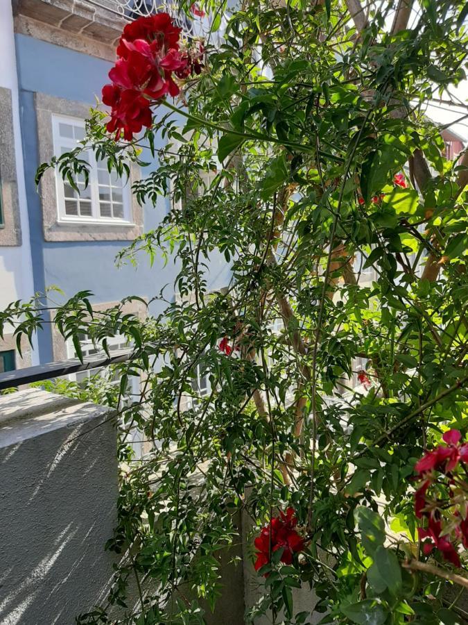 Amazing City Center Apartment Porto Villa Loios Екстер'єр фото